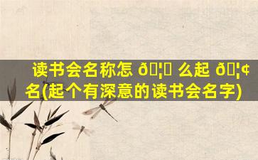 读书会名称怎 🦁 么起 🦢 名(起个有深意的读书会名字)